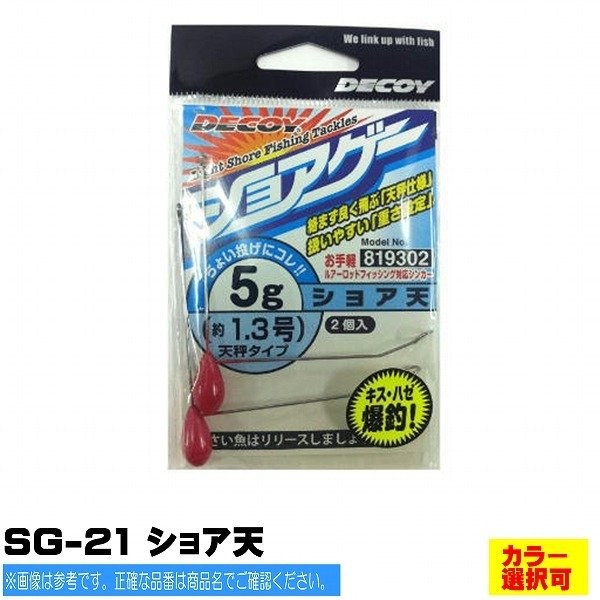 デコイ SG-21 ショア天 仕掛 オモリ 遠投