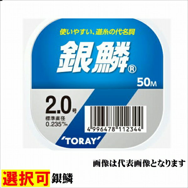 東レ 銀鱗 50m 仕掛 ハリス 汎用ナイロン