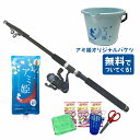 サビキ釣り釣り場直行セット300 【入門サビキセット300+アミ姫】無料でバケツついてくる 【サビキ】【直行】【入門】【オリジナルセット】