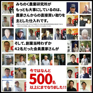 【新米予約】令和元年宮城県産ひとめぼれ20kg玄米,5分,7分,精白米(精米時重量約1割減)9月下旬頃発送予定【米】【dp】【ne】