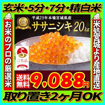 29年産 宮城県産 ササニシキ 20kg！玄米,5分,7分,精白米(精米時重量約1割減)【米】【dp】【ne】【SS09】