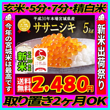 ■新米■30年産 宮城県産 ササニシキ 5kg！ 玄米,5分,7分,精白米選択可(精米時重量約1割減)【米】【dp】【2018ne】