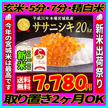 ■新米■30年産 宮城県産 ササニシキ 20kg 【米】 玄米,5分,7分,精白米(精米時重量約1割減)【dp】【2018ne】
