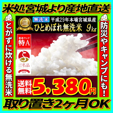 エントリーでポイント5倍!29年産 宮城県産 ひとめぼれ 玄米 10kg(精米選択:無洗米9kg)【無洗米】【米】【dp】【ne】【SS03】