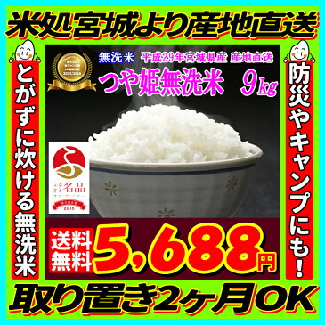 エントリーでポイント5倍!29年産 宮城県産 つや姫 玄米 10kg (精米選択: 無洗米 9kg )【米】【無洗米】【dp】【ne】