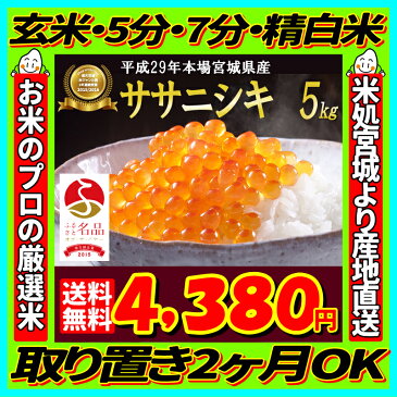 エントリーでポイント5倍！29年産 宮城県産 ササニシキ 5kg！お一人様1点限り！玄米,5分,7分,精白米(精米時重量約1割減)【米】【dp】【ne】【SS03】