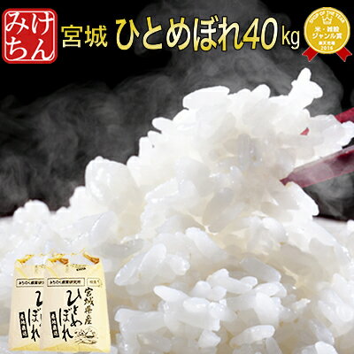 令和元年 宮城県産 ひとめぼれ 40kg(20kg袋×2)！玄米,5分,7分,精白米(精米時重量約1割減)【米】【dp】【asu】