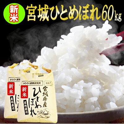 令和元年 宮城県産 ひとめぼれ 60kg(30kg袋×2)！玄米,5分,7分,精白米(精米時重量約1割減)【米】【dp】