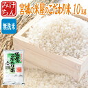 米屋のこだわり米10kg(精米時重量約1