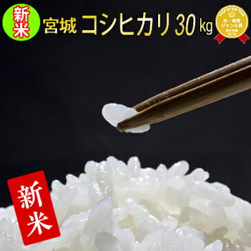 ★新米予約★本場東北 宮城県産 コシヒカリ 30kg 令和4年産 玄米 5分 7分 精白米(精米時重量約1割減)【米】【hu2208】 白米 お米 コメ ごはん ご飯 精米 産地直送 ブランド米 国内産 食品 お取り寄せ 米処 美味しい おこめ こめ 厳選米 宮城米【宮城県WEB物産展】