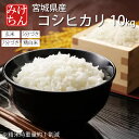 令和6年産 宮城県産 コシヒカリ 10kg 玄米 5分 7分 精白米(精米時重量約1割減) 【米 白米 お米 コメ ごはん ご飯 精米 産地直送 国内産 米処 ...