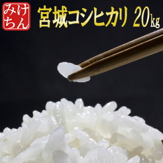 ■新米■30年産宮城県産コシヒカリ20kg玄米,5分,7分,精白米(精米時重量約1割減)【米】【dp】【SS12】