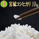【新米 予約】令和元年 宮城県産 コシヒカリ 10kg!玄米