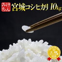 令和5年産 本場東北 宮城県産 コシヒカリ 10kg 玄米 5分 7分 精白米(精米時重量約1割減) 