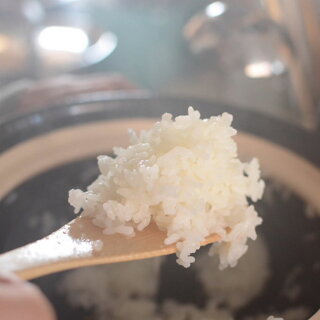 長谷園かまどさん二合炊き【RCP】