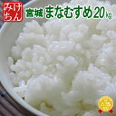 令和2年産 宮城県産 まなむすめ 20kg！玄米,5分,7分,精白米(精米時重量約1割減)【米】