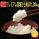 令和2年産 宮城県産 木炭栽培米プレミアム ひとめぼれ 20kg　玄米,5分,7分,精白米(精米時重量約1割減)【米】【hu】