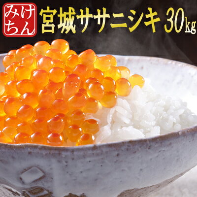 ■期間限定SALE！最高評価特A獲得 30年産 宮城県産 ササニシキ 30kg 【米...