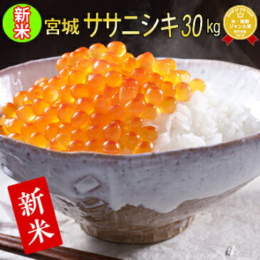 ★新米予約★令和4年産 宮城県産 ササニシキ 30kg 【米】 玄米,5分,7分,精白米(精米時重量約1割減)【hu2208】 白米 お米 コメ ごはん ご飯 精米 産地直送 ブランド米 国内産 食品 お取り寄せ 日本産 米処 美味しい おこめ こめ 名産品 厳選米 宮城米【宮城県WEB物産展】