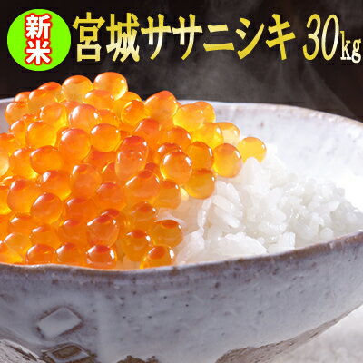 令和元年 宮城県産 ササニシキ 30kg 【米】 玄米,5分,7分,精白米(精米時重量約1割減)【dp