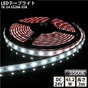 LEDe[vCg VR`[u TK-24-SS286-55K F(5500K) 60/m PF IP67 3m DC24V Ogp\ WbNtOa5.5mm~a2.1mm DIY _ɂ͕ʓrdKvł y