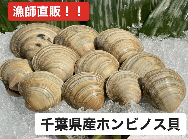 【送料無料】　どこよりも安く！！3L ホンビノス貝　【250～350g／個】　　産地直...