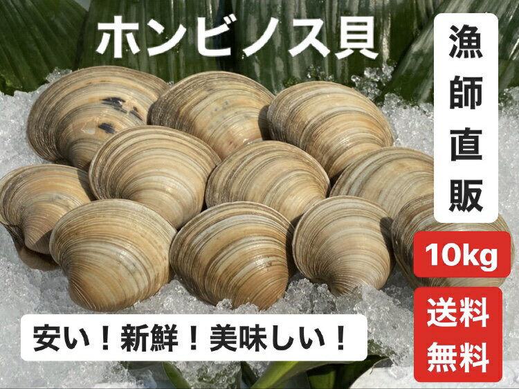 10kg【送料無料】漁師直送！だから新鮮！どこよりも安い！ホンビノス貝　ふっくらと肉厚でおいしいダシがたっぷり！バーベキューに！酒蒸しに！