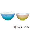 【最大10%OFFクーポン 7/11 1:59まで】 九谷焼 組飯碗 二色銀彩 <送料無料 和食器 飯碗 茶碗 ご飯茶碗 人気 ギフト セット 贈り物 結婚祝い...