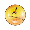 九谷焼 盃 エナガ/中村陶志人<送料無料 酒器 盃 ぐい呑 人気 ギフト 贈り物 結婚祝い/内祝い/お祝い/>