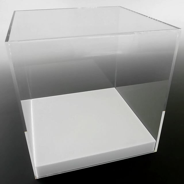 【台座あり】 プラスチックケース アクリル 板厚5mm 展示 シューズ W400mm H200mm D200mm アクリルケース 収納 ガラス色 アクリルボックス スパイク 透明ケース クリア アクリル板 ケース 物入れ