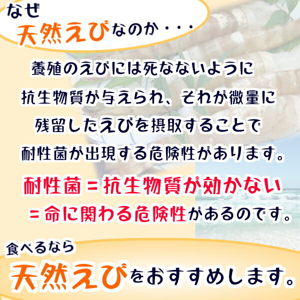 正直者が作った【天然車海老フライ小500g】衣を脱いだら!すごい!肉厚の身が出てきます!エビフライ冷凍たっぷり天然えび100%【冷凍食品お弁当】海老
