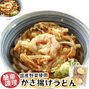 簡単調理 天然 海老 国産野菜 【かき揚げうどん 2食入】 かきあげ 1枚110g お昼 に 便利 昼食 うどん かきあげ 冷凍 えび天 海老天 天ぷら てんぷら セット たぬき 天うどん