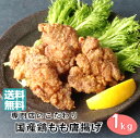 【ふるさと納税】【選べる容量】塩唐揚 冷凍 合計 1kg～10kg 500gパック からあげ 唐揚げ 1個60g以上 特大唐揚 冷凍 国産 九州 熊本県 宇城市 おぐらの唐揚げ 送料無料