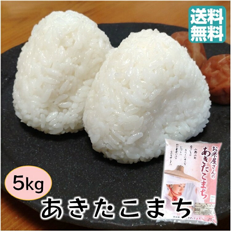 令和6年産 送料無料 秋田県産 お米屋さんが吟味した味 あきたこまち 5kg 2024 白米 精米 秋田産 おこめ お米 1等米 一等米 ごはん 弁当 お弁当 こまち 美味しい うまい 米 5キロ こめ 令和6年