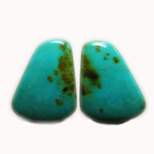 ڥݥ10%OFFۥ ᤭  Turquoise ȥ륳 12  ŷ ʪ 1 ʻ TPW-1