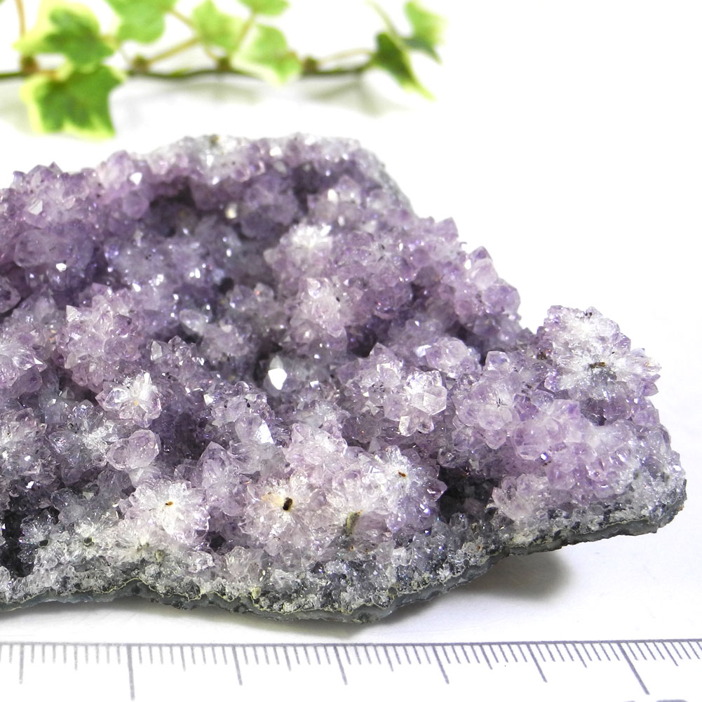 【よりどり10%OFF】アメジスト クラスター カクタスアメジスト スピリットクォーツ マスタークリスタル 原石 産地 ウルグアイ Amethyst アメシスト 紫水晶 2月 誕生石 天然石 鉱物 1点もの 現品撮影 CAC-90