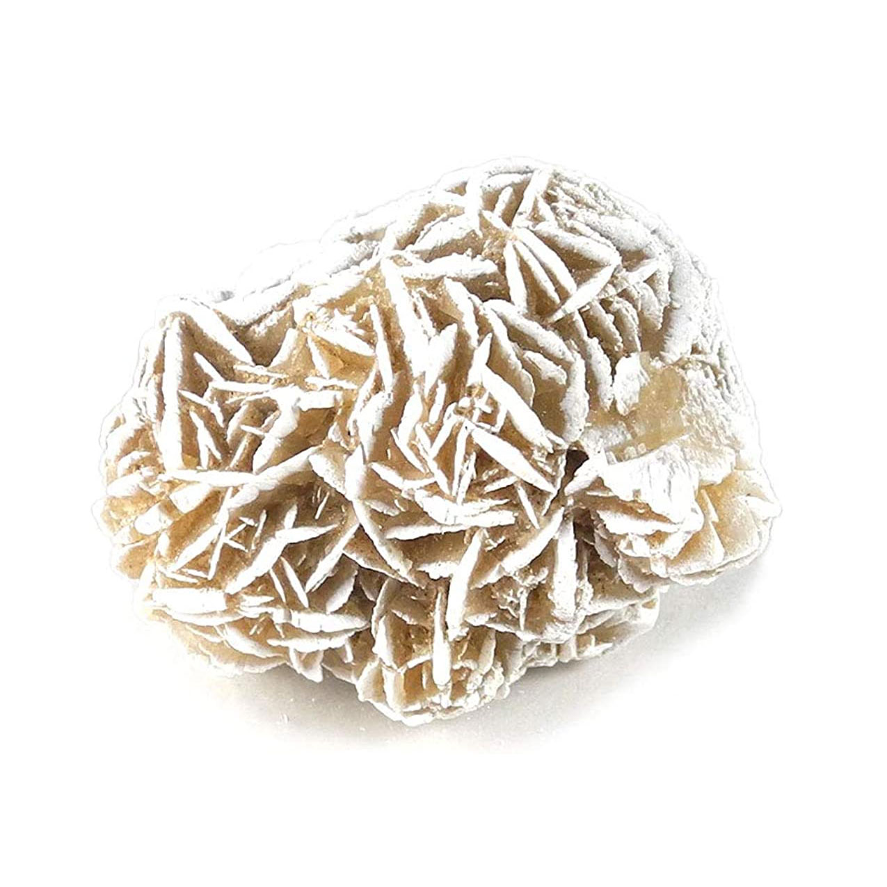 【クーポンで10%OFF】デザートローズ 砂漠のバラ 現品撮影 SR-34