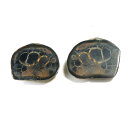 【クーポンで10%OFF】セプタリアン septarian ドラゴンストーン 亀甲石 ペア 現品撮影 SEP-29(3)
