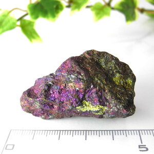 【クーポンで10%OFF】ピーコックオア 黄銅鉱 酸処理品 PCO-48