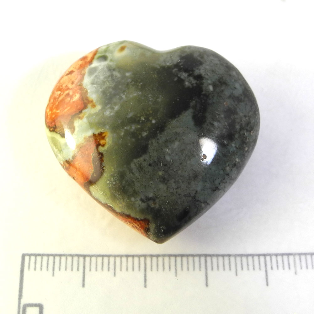 ڥݥ10%OFFۥ㥹ѡ ϡ Polyehrom Jasper ᤭  1 ʻ PJH-3