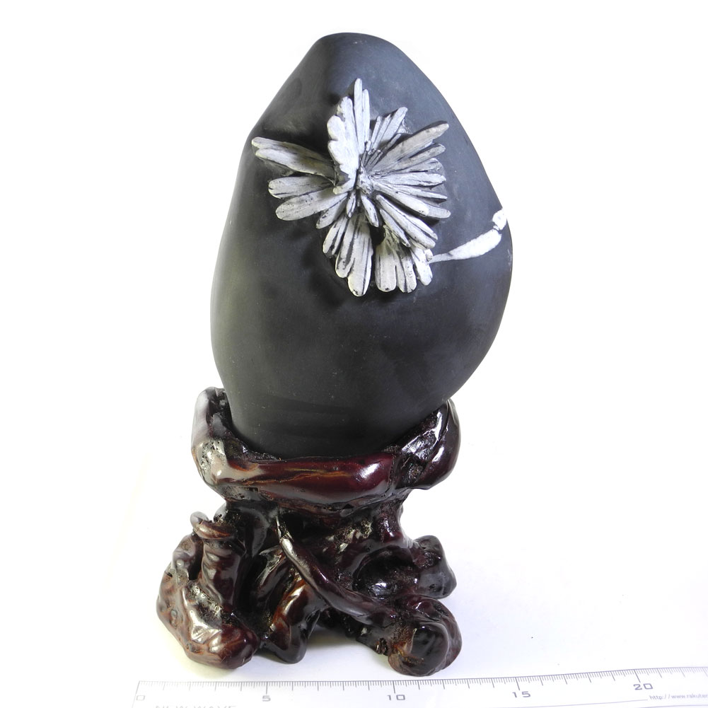 【クーポンで10%OFF】菊花石 クリサンスマムストーン 黒色石 灰質 粘板岩中の方解石 1点もの 現品撮影 KIK-41