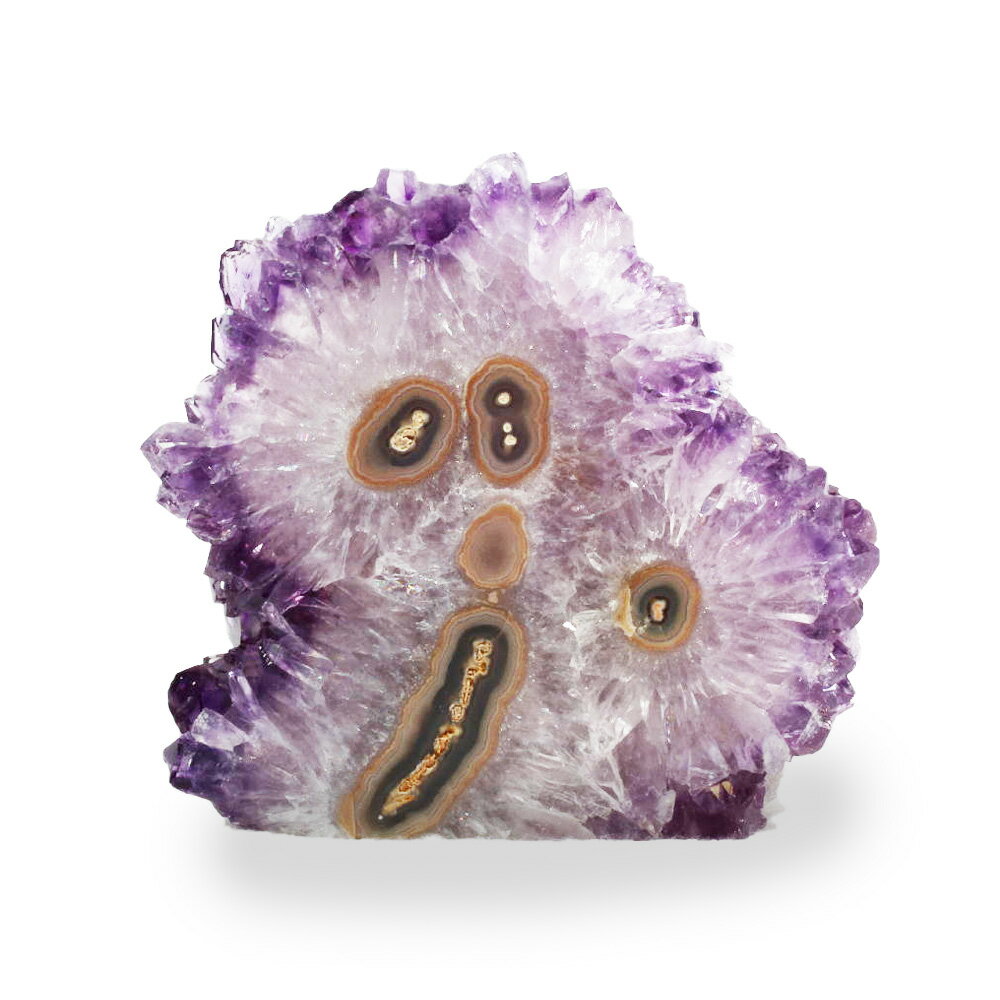 ڥݥ10%OFFۥ᥸ Υ  Amethyst ᥷ 徽 2  ŷ ʪ 1 ʻ AMEK-25