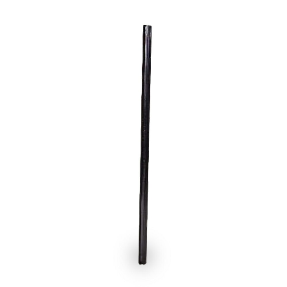  クーポンで10%OFF ブラックトルマリン 針柱状結晶 black tourmaline 電...