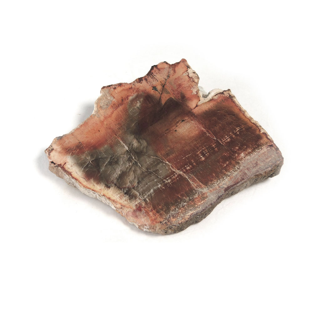 【クーポンで10%OFF】ペトリファイドウッド 原石 産地 マダガスカル Petrified Wood 珪化木 化石木 ウッドストーン シリリファイドウッド 天然石 鉱物 1点もの 現品撮影 WOP-152