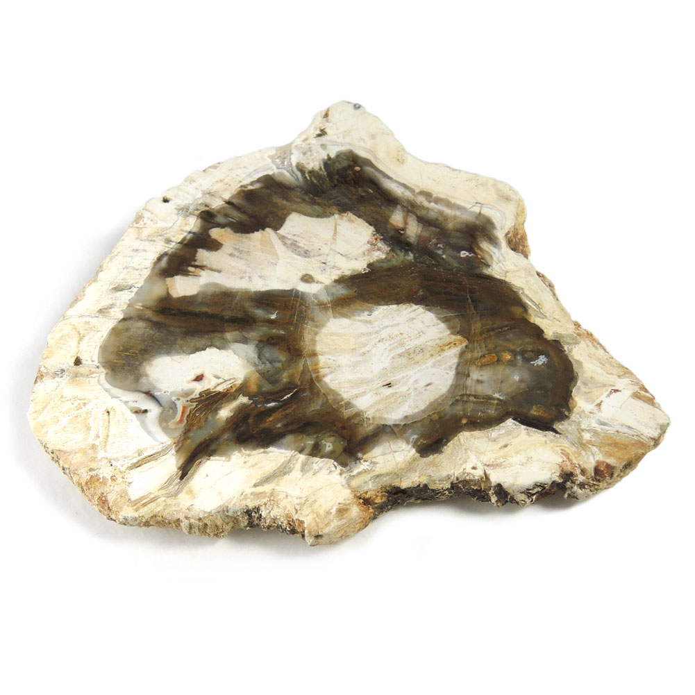 【クーポンで10%OFF】ペトリファイドウッド 原石 産地 マダガスカル Petrified Wood 珪化木 化石木 ウッドストーン シリリファイドウッド 天然石 鉱物 1点もの 現品撮影 WOP-158