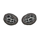 【クーポンで10%OFF】セプタリアン septarian ドラゴンストーン 亀甲石 ペア 現品撮影 SEP-46