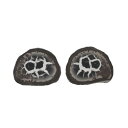 【クーポンで10%OFF】セプタリアン septarian ドラゴンストーン 亀甲石 ペア 現品撮影 SEP-49