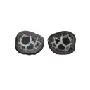 【クーポンで10%OFF】セプタリアン septarian ドラゴンストーン 亀甲石 ペア 現品撮影 SEP-51