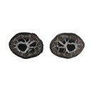 【クーポンで10%OFF】セプタリアン septarian ドラゴンストーン 亀甲石 ペア 現品撮影 SEP-59