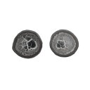 【クーポンで10%OFF】セプタリアン septarian ドラゴンストーン 亀甲石 ペア 現品撮影 SEP-60